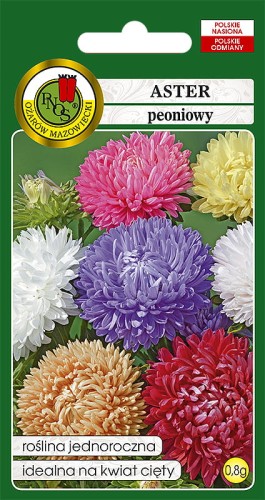 aster peoniowy mix-OK-14b-12.jpg
