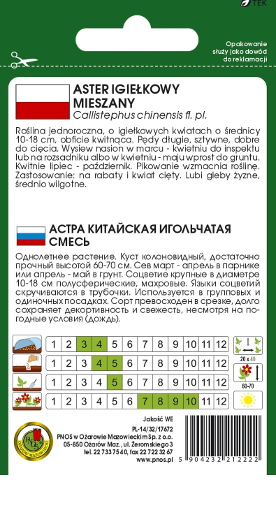 aster igielkowy mix-OK-13b-12-TYL.jpg