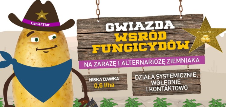 Carial Star 500 SC baner.jpg