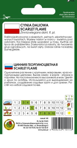Cynia daliowa Scarlet Flame-OK-381-12-TYL.jpg