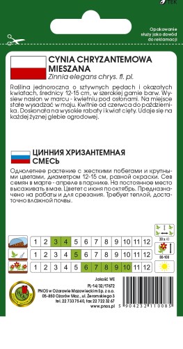 cynia chryzantemowa mix OK-548-12-TYL.jpg