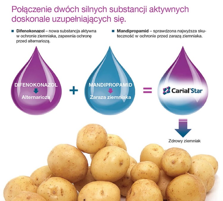 Carial Star 500 SC połączenie dwóch silnych substancji czynnych.jpg