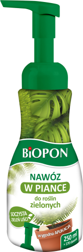 Biopon Nawóz w piance do roślin zielonych 250ml.png