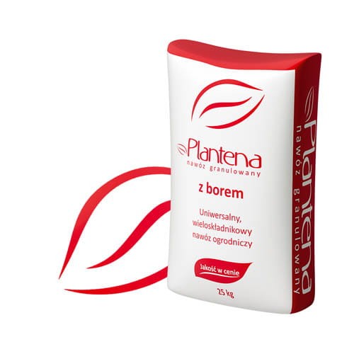 Plantena z borem.jpg