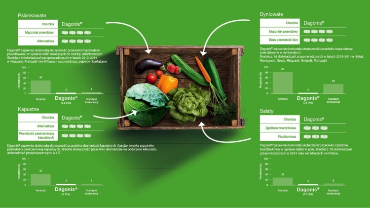 Dagonis wyniki doświadczeń.jpg