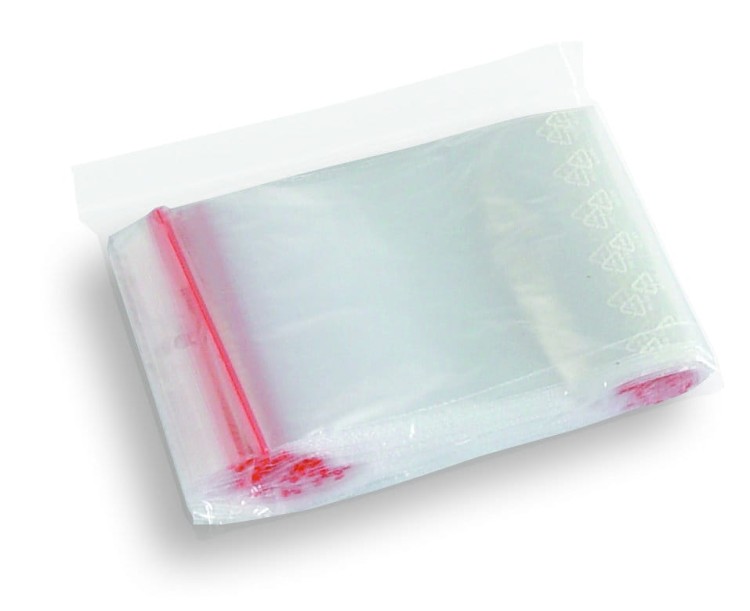 Woreczki strunowe 100x100mm 100szt.jpg