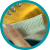 material-plastico.png