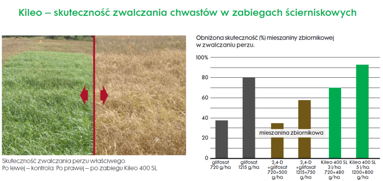 Kileo 400 SL skuteczność zwalczania chwastów w zabiegach ścierniskowych.png