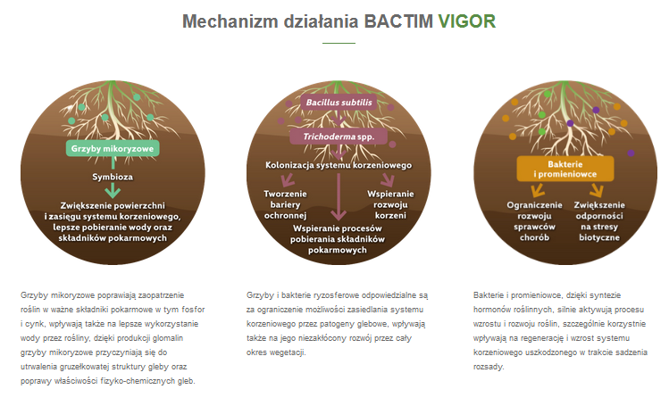 Bactim Vigor baner1.png