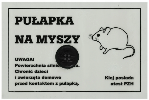 Bez tytułuddd.png