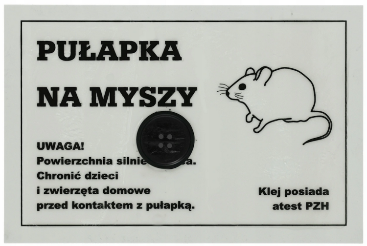 Bez tytułuddd.png