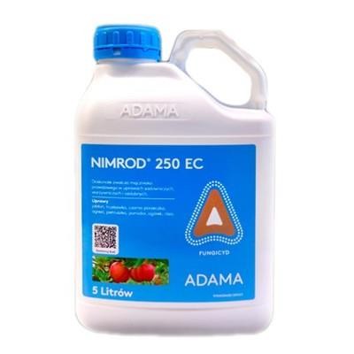 Nimrod 250 EC 5l.jpg