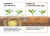 Optymal Max Soil rys5.jpg