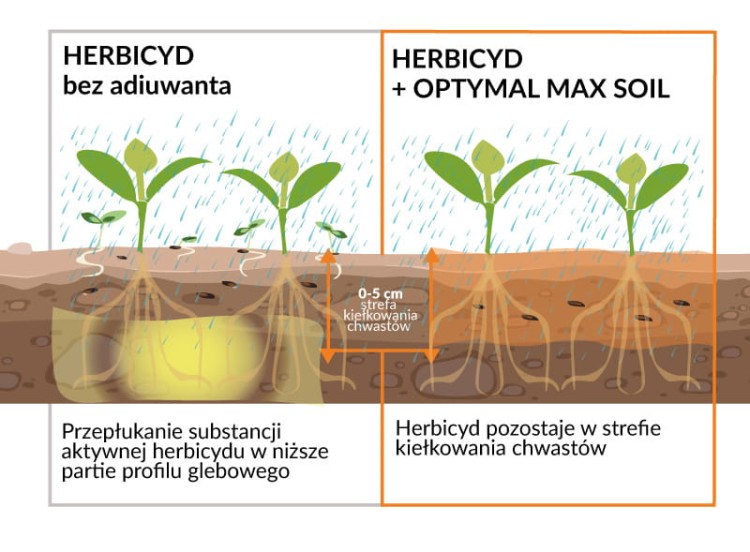 Optymal Max Soil rys5.jpg