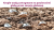 Optymal Max Soil rys6.png