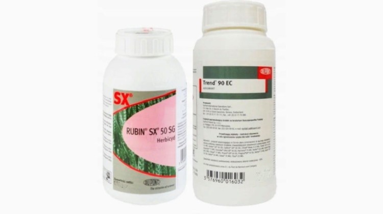 Rubin SX 50 SG 150g +Trend 150ml x 2szt.jpg