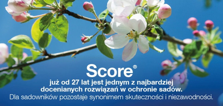 Score 250 EC baner.jpg
