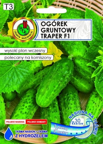 OGOREK-GRUNTOWY-TRAPER-F1-6m.jpg