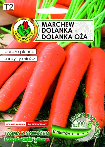 MARCHEW-JADALNA-DOLANKA-DOLANKAee-OZA-6m.jpg