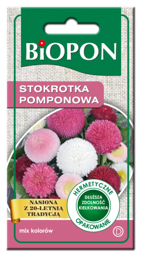 stokrotka_pomponowa_-_27.08.15.png