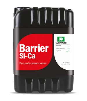 Barrier Si-Ca.png