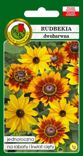 5904232168246_rudbekia-dwubarwna-meine-freude-zolto-brazowa_front.jpg