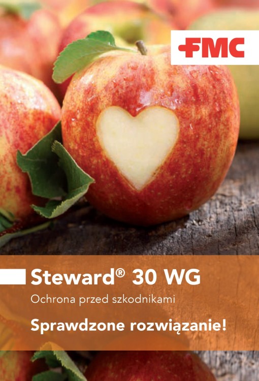 Steward 30 WG baner 1.jpg