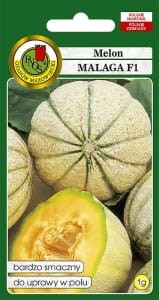 MELON-MALAGA-F1-1g.jpg