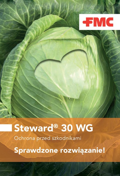 Steward 30 WG baner 2.jpg