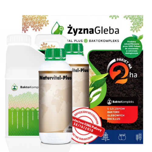 Projekt bez tytułu(2).png