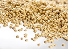 Canwil z magnezem baner2.jpg