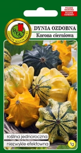 DYNIA-OZDOBNA-KORONA-CIERNIOWA-MIESZANA-1g.jpg