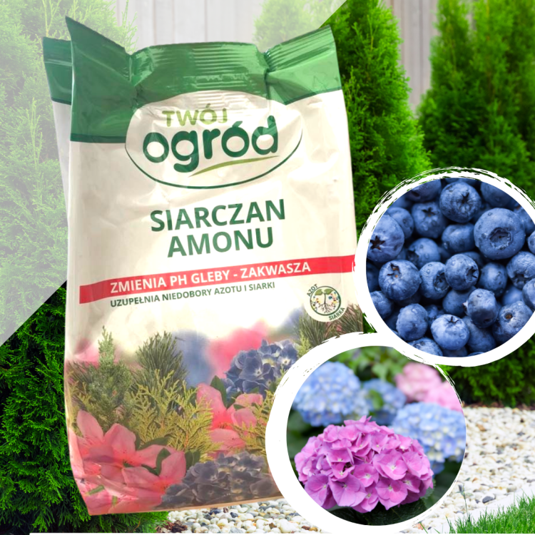 LIVE (Wpis na Instagram)(3).png