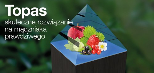 Topas 100 EC baner.jpg