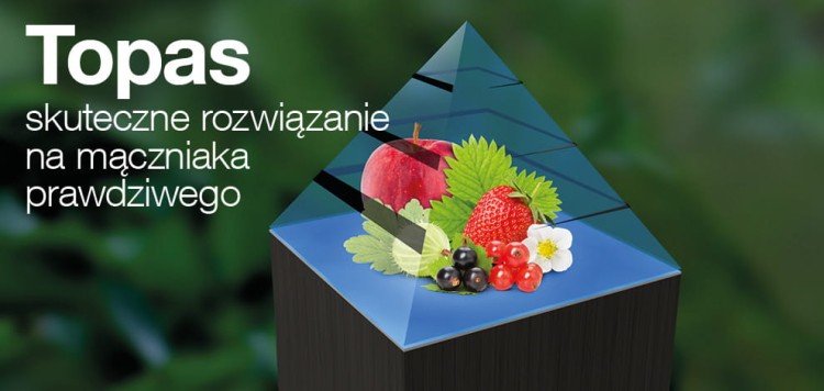 Topas 100 EC baner.jpg