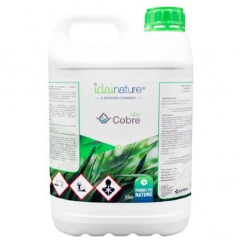 COBRE_5Ls.jpg
