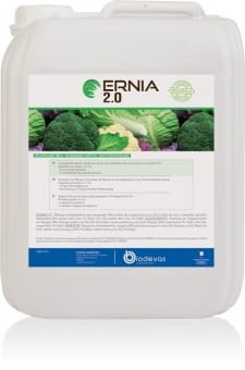 ERNIA_2.0_5Ls.jpg