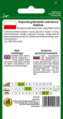 5904232192845Kapusta-głowiasta-czerwona-Kalibos-tyl.jpg