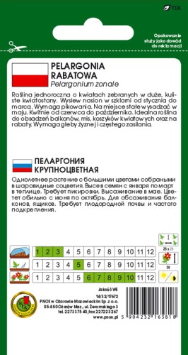 PELARGONIA-RABATOWA-F1-CZERWONA-10zdd.jpg