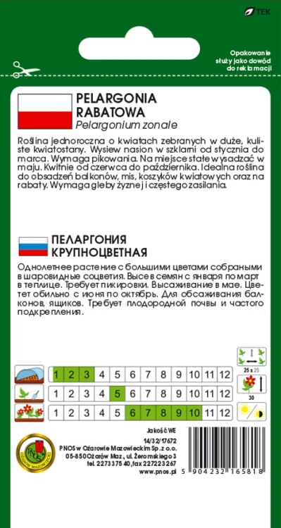 PELARGONIA-RABATOWA-F1-CZERWONA-10zdd.jpg