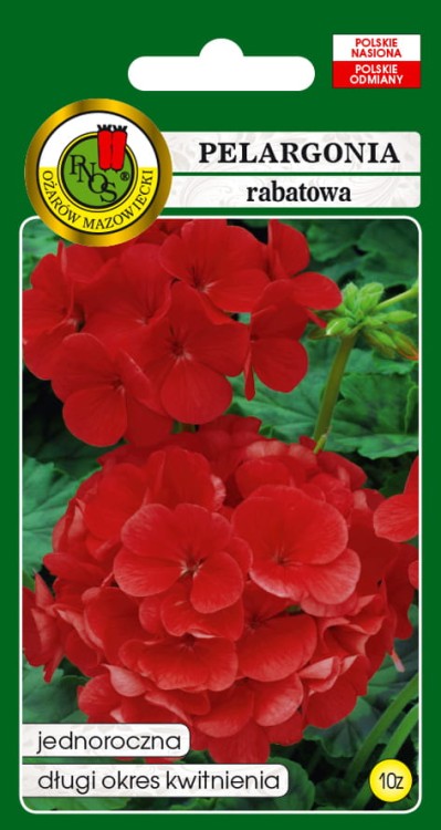 PELARGONIA-RABATOWA-F1-CZERWONA-10z.jpg