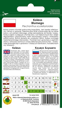 Koleus-BLUMEGO-mieszany-0,1gd.jpg