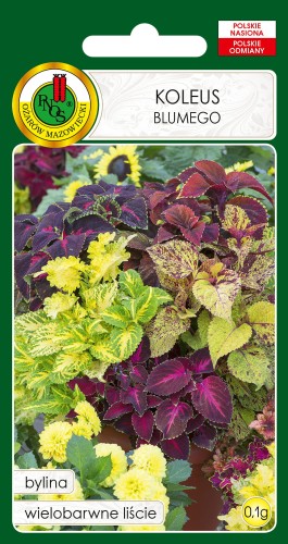 Koleus-BLUMEGO-mieszany-0,1g.jpg