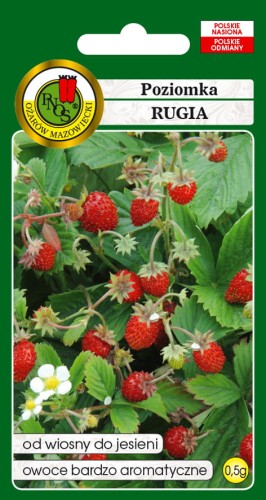 POZIOMKA-RUGIA-0,5g.jpg