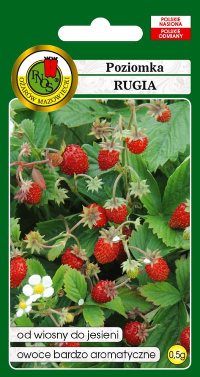 POZIOMKA-RUGIA-0,5g.jpg