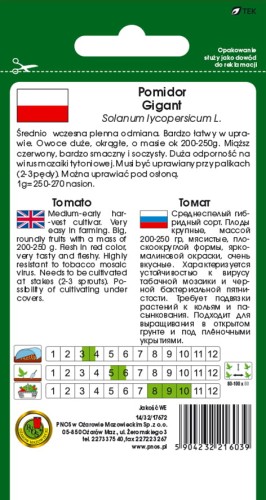 POMIDOR-GRUNTOWY-GIGANT-1gtt.jpg