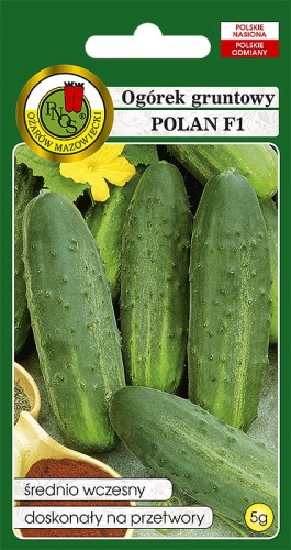 OGOREK-GRUNTOWY-POLAN-F1-5g.jpg