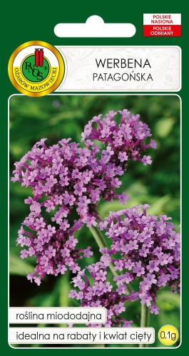 Werbena-patagonska-0,1g.jpg