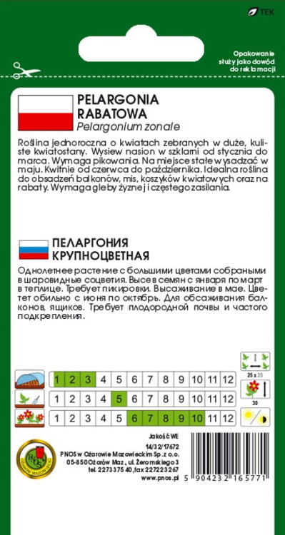 PELARGONIA-RABATOWA-F1-FIOLETOWA-10ze.jpg