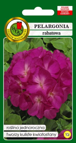 PELARGONIA-RABATOWA-F1-FIOLETOWA-10z.jpg